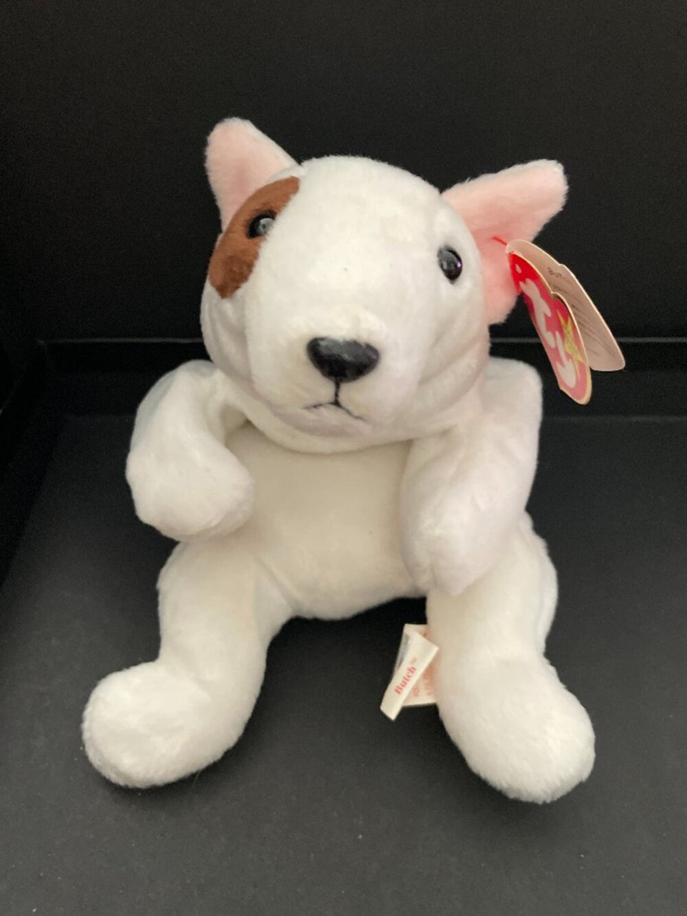 Butch, a retired vintage Ty Beanie Baby Bull Terrier dog-NWT